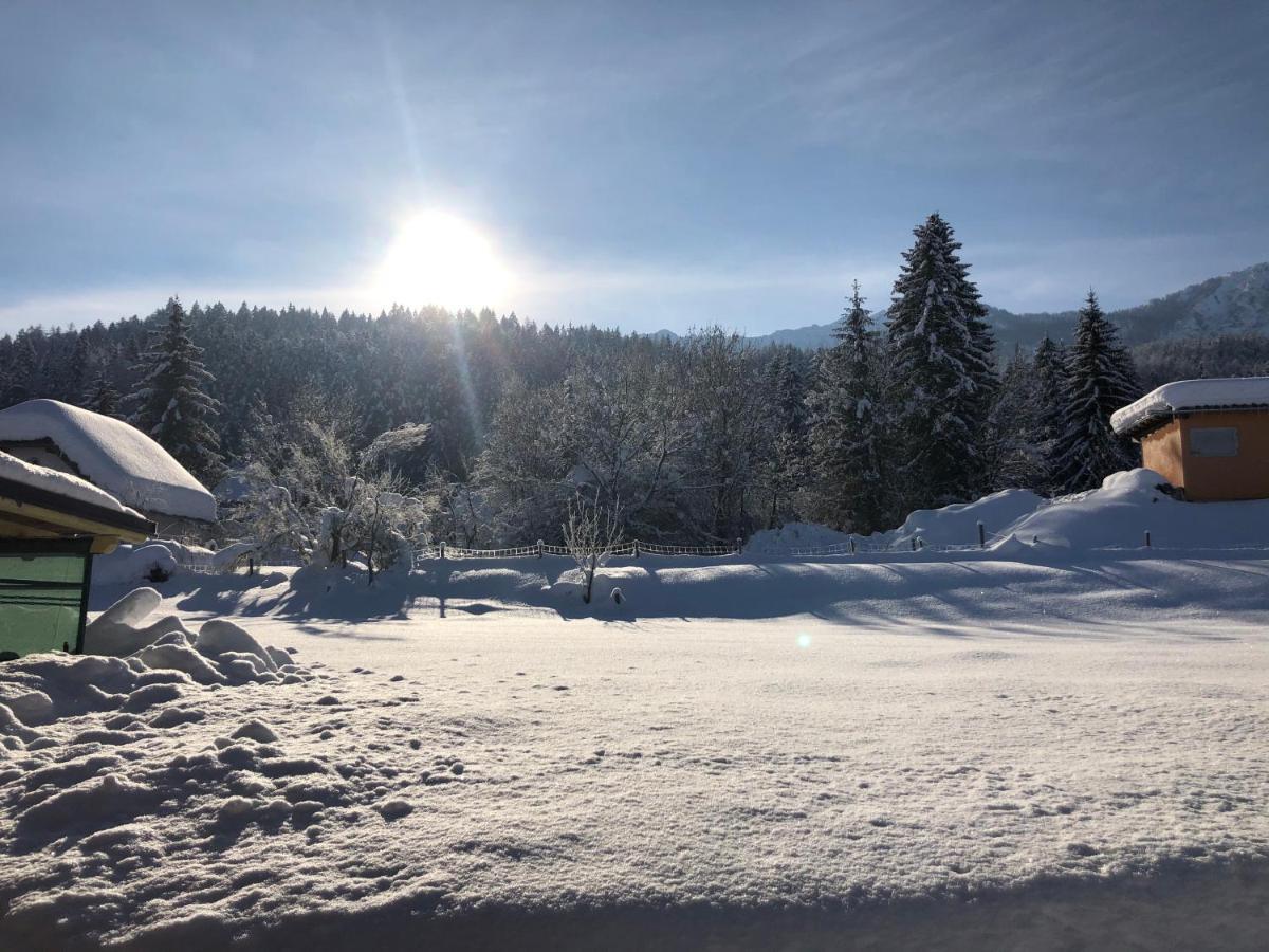 Haus Sonja Appartement Faak am See Buitenkant foto
